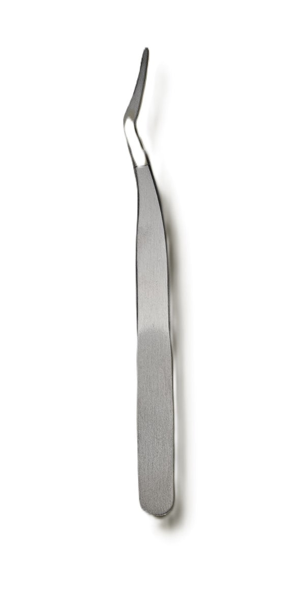 Lush Bee - Tweezer Curved - Stainless